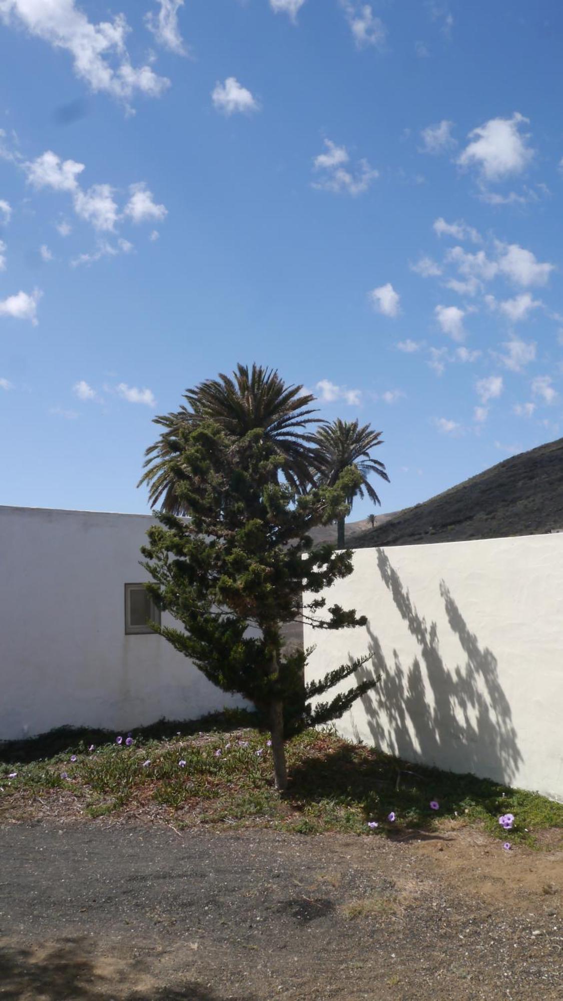 Casa Olga Villa Máguez Екстериор снимка